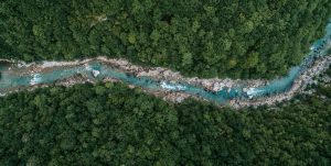 River running through a forest