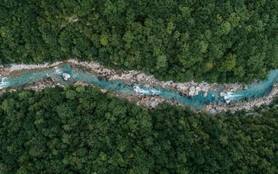 Nudging GCC citizens to sustainability: the imperatives of cultural awareness & local knowledge