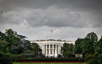 Implications of the US Presidential election for the GCC