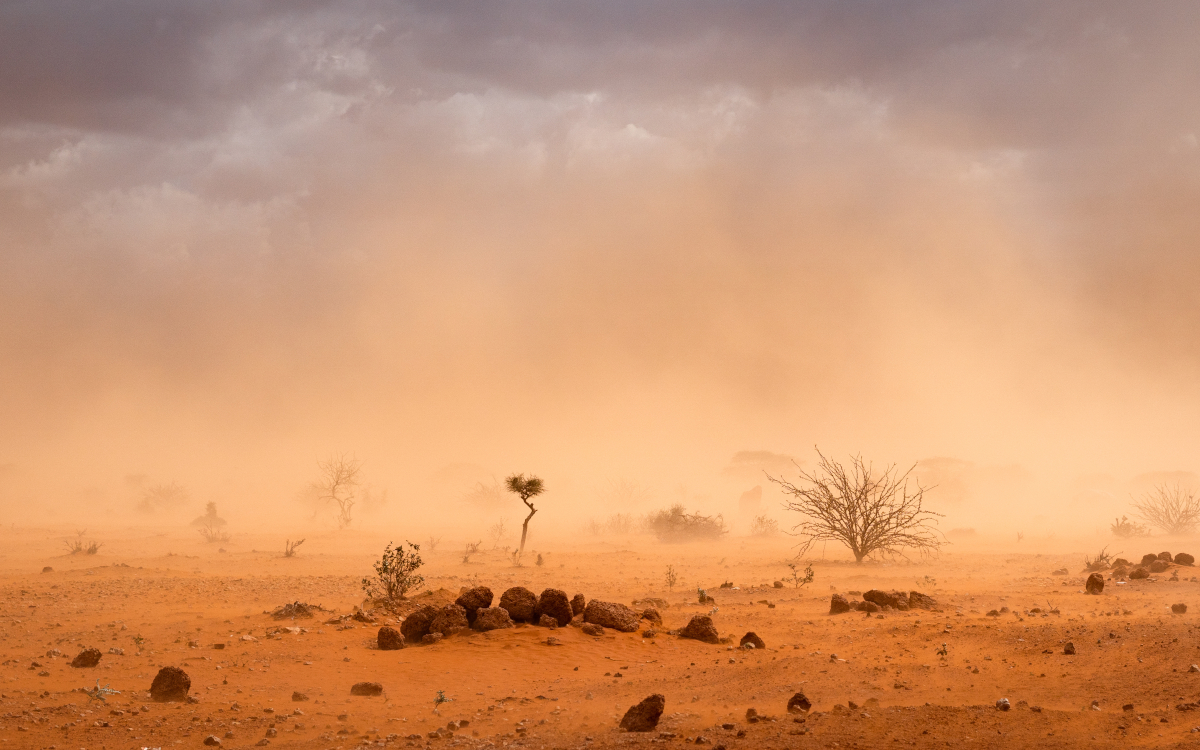 Wind storm in a desert. The picture illustrates the effects of climate change on food security